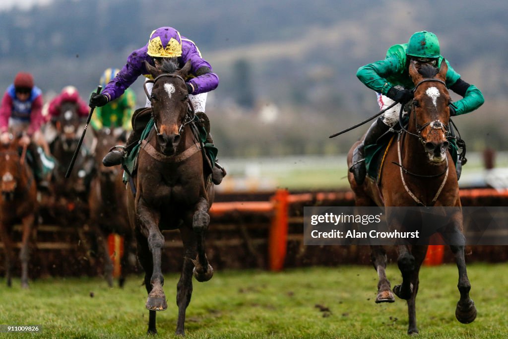 Cheltenham Races