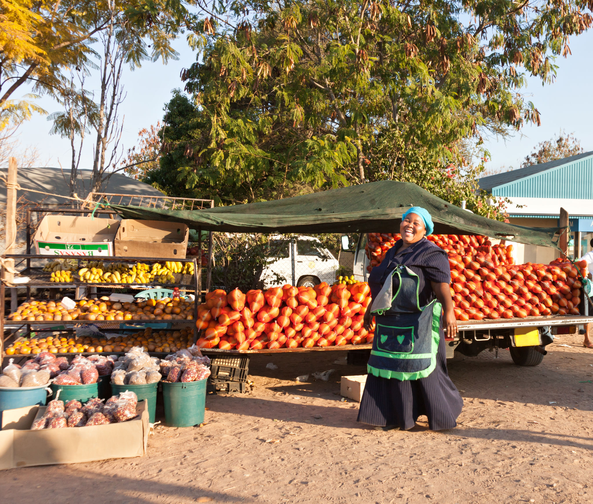 zimbabwe business