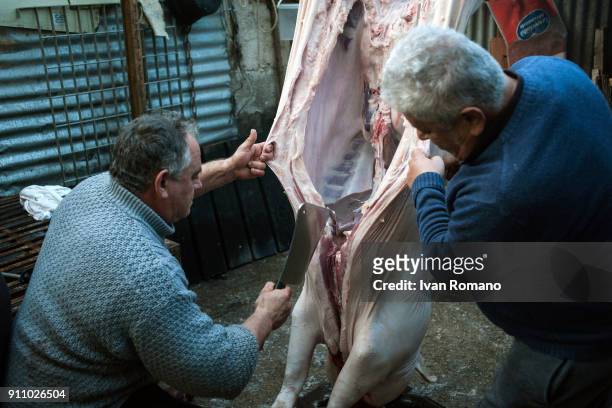 The slaughtering continues with the division of the carcass into two cuts. Originally this was the phase in which meat was divided between landowners...