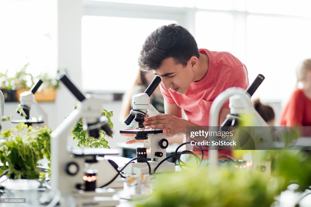 Studente che guarda giù microscopio