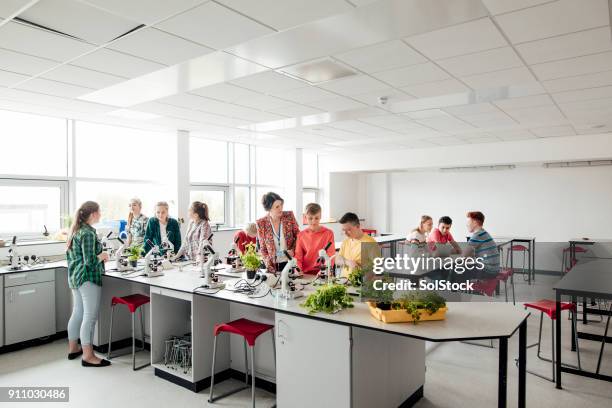 students during class - classroom wide angle stock pictures, royalty-free photos & images