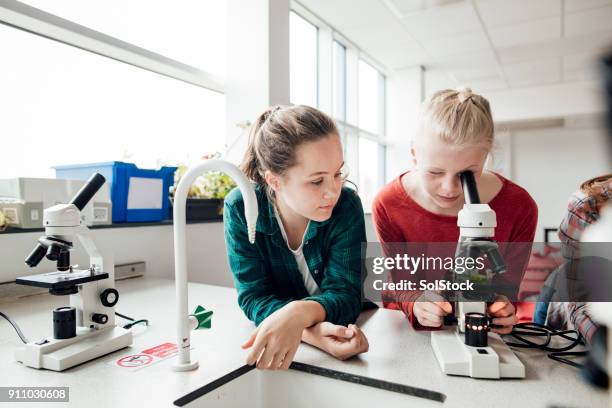 Science Workbench 608 Science Work Bench Stock Photos, High-Res Pictures, and Images ...