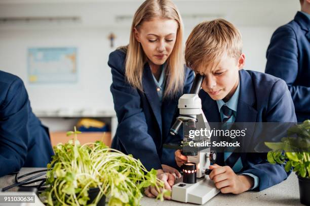 studenti che guardano in basso al microscopio - uniforme scolastica foto e immagini stock