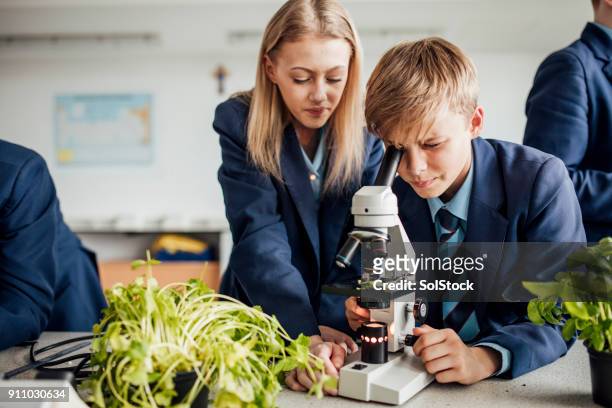 students looking down microscope - school uniform stock pictures, royalty-free photos & images