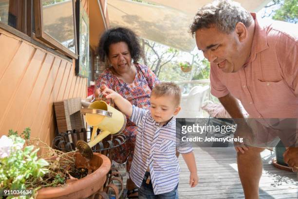 niño, regar las plantas con los abuelos - etnia aborigen australiana fotografías e imágenes de stock