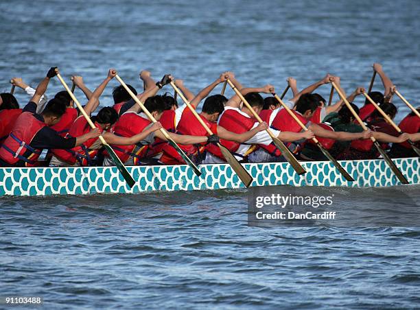 oarsmen - paddling stock pictures, royalty-free photos & images