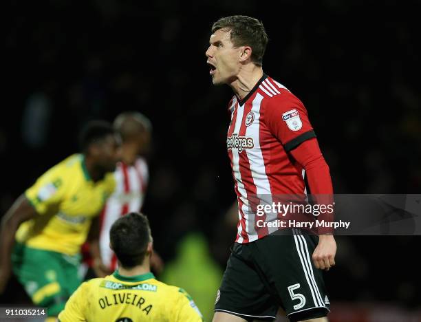 Andreas Bjelland of Brentford reacts during the Sky Bet Championship match between Brentford and Norwich City at Griffin Park on January 27, 2018 in...