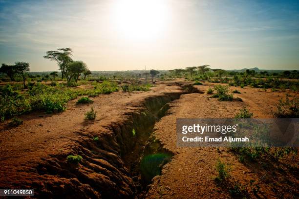 hamar tribe village, turmi, ethiopia - december 12, 2017 - east africa bildbanksfoton och bilder