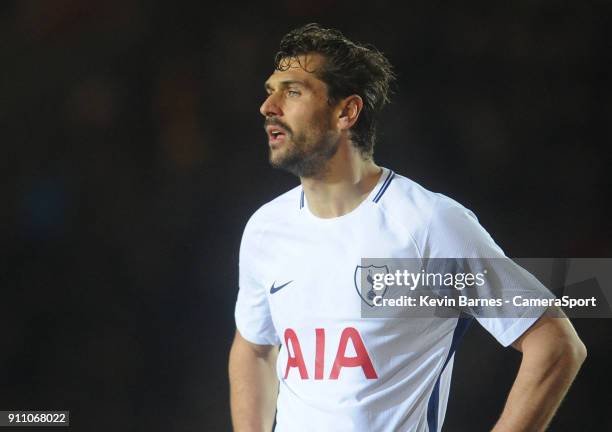 Tottenham Hotspur's Fernando Llorente during the The Emirates FA Cup Fourth Round match between Newport County and Tottenham Hotspur at Rodney Parade...