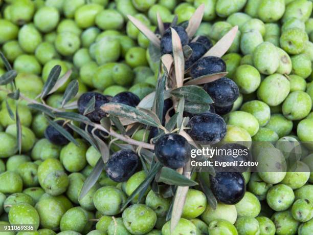 branch of black olives with leaves on heap of green olives - black olive stockfoto's en -beelden