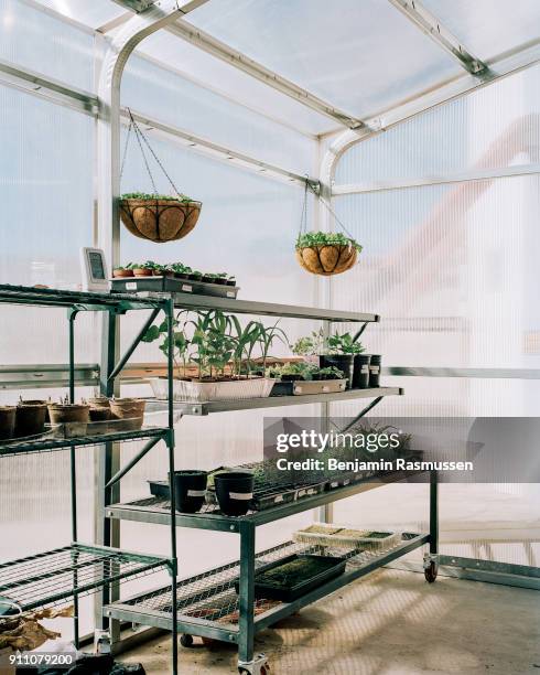 Crew biologist Sneha Velayudhan looks at plants left by the previous crew to measure how they are growing in the greenhab conditions. Functionality:...