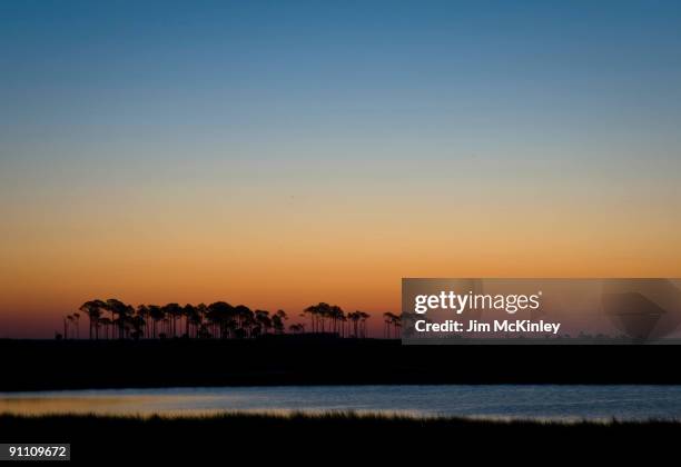 dawn - st marks wildlife refuge stock pictures, royalty-free photos & images