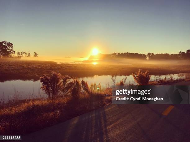 misty sunrise over marsh on assateague island - küstenschutzgebiet assateague island stock-fotos und bilder