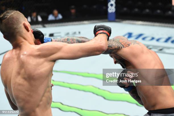 George Sullivan 260 George Sullivan Ufc Photos & High Res Pictures - Getty Images