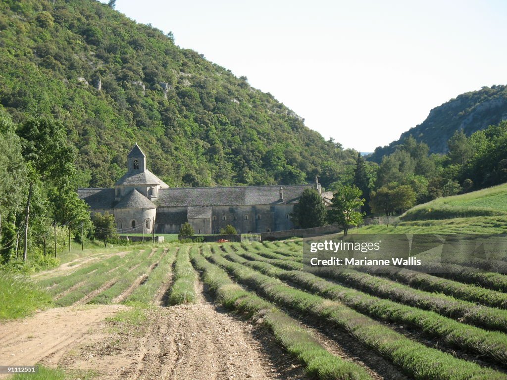 Senanque Abbey, France