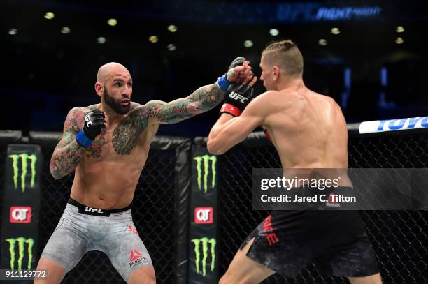 George Sullivan 253 George Sullivan Ufc Photos & High Res Pictures - Getty Images