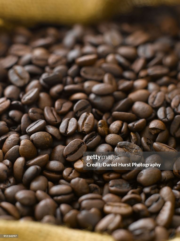 Coffee Beans