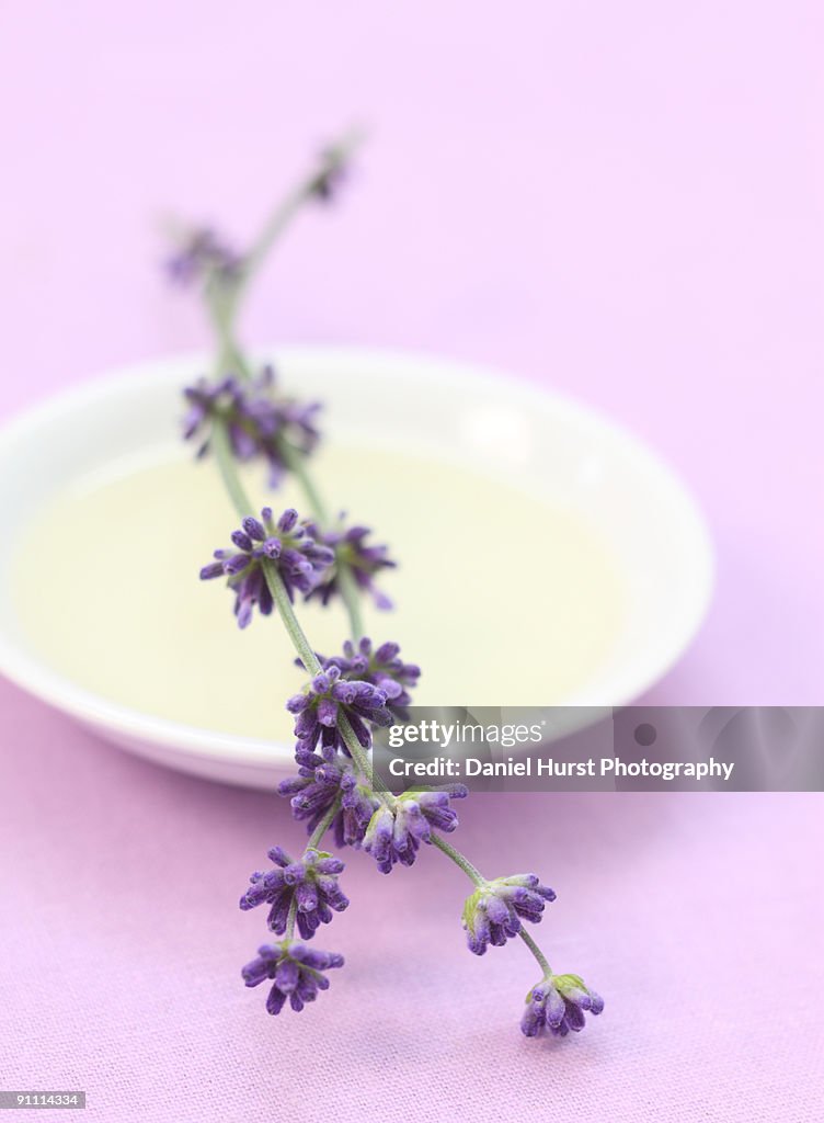 Lavender and bowl of lavender oil