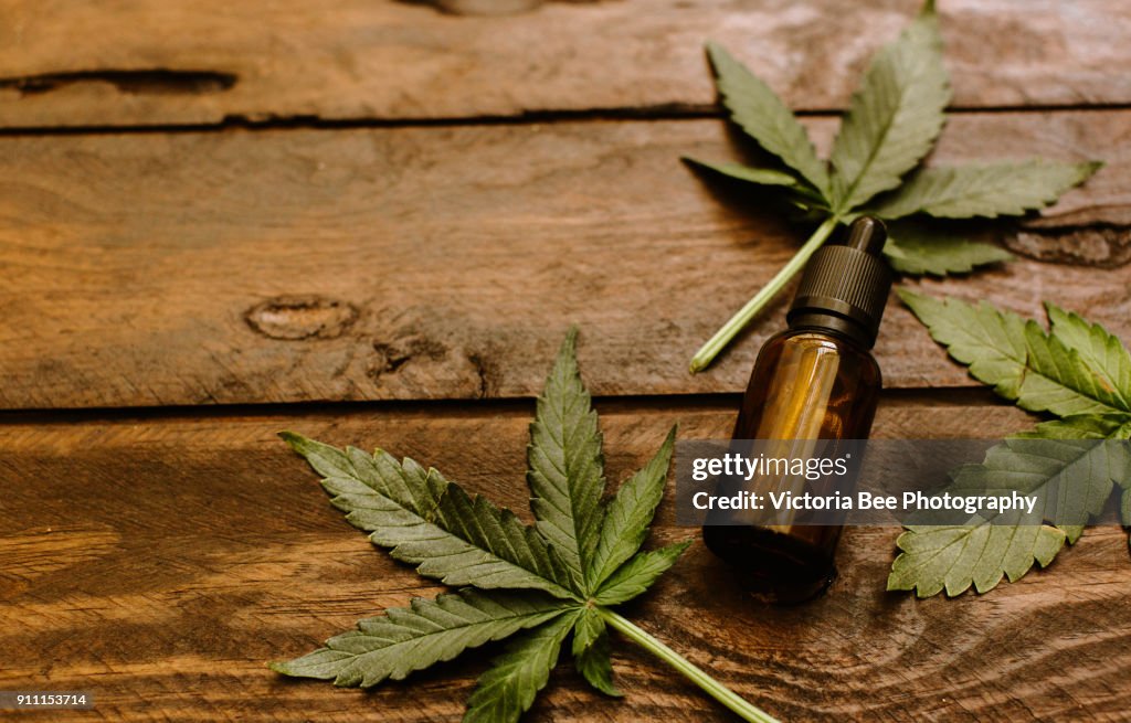 Green leaves of medicinal cannabis with extract oil