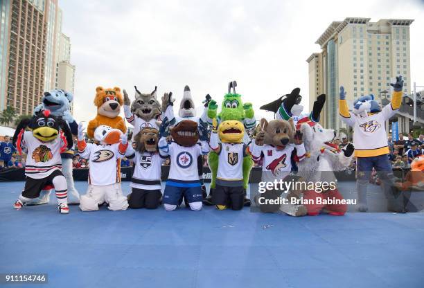 Louie of the St. Louis Blues, Nordy of the Minnesota wild, Hunter the Lynx of the Edmonton Oilers, SJ Sharkie of the San Jose Sharks, Victor E. Green...