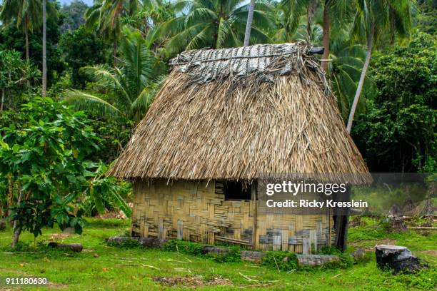 traditional thatched hut - fiji hut stock pictures, royalty-free photos & images