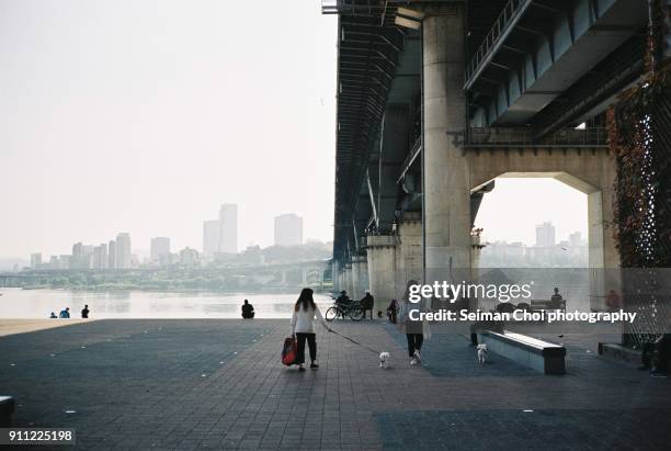 han river walking and bicycle trails, seoul korea - han river imagens e fotografias de stock