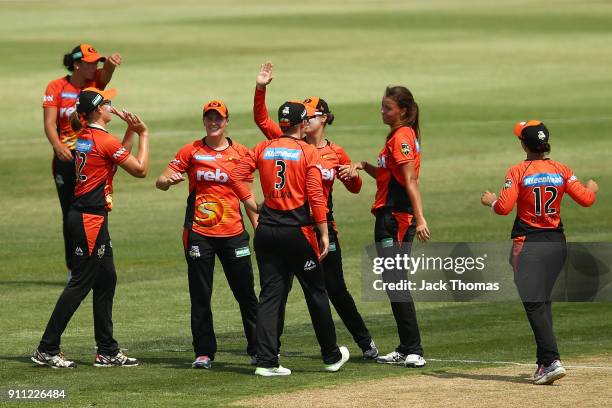 Piepa Cleary of the Scorchers celebrates the wicket of Hayley Jensen of the Renegades, caught by Lauren Ebsary of the Scorchers during the Women's...