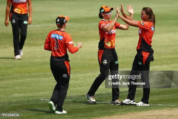 Piepa Cleary of the Scorchers celebrates the wicket of Hayley Jensen of the Renegades, caught by Lauren Ebsary of the Scorchers during the Women's...