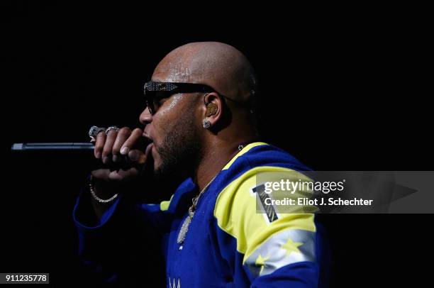 Vocal artist Flo Rida performs during the Saturday Night Party as part of the 2018 NHL All-Star on January 27, 2018 in Tampa, Florida.