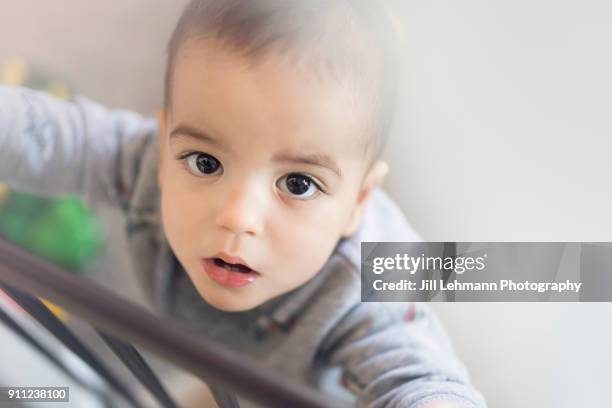 16 month old fraternal twin looks up from a baby gate while at home - baby gate stock pictures, royalty-free photos & images