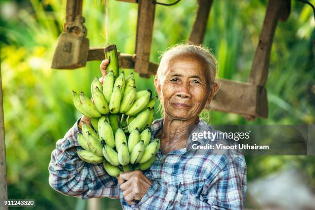 woman farmer holding green banana - adult eating cereal stock pictures, royalty-free photos & images