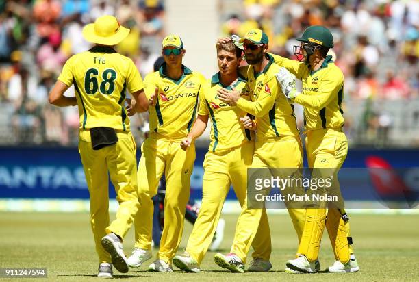 Adam Zampa of Australia celebrates a wicket with team mates during game five of the One Day International match between Australia and England at...
