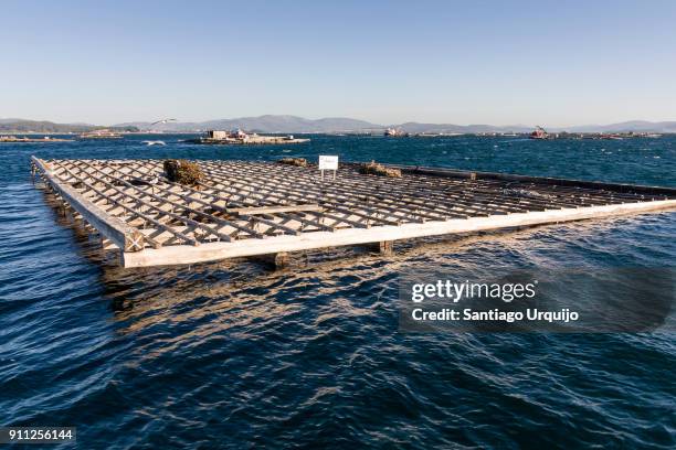 Ocean Raft Wood Wood Raft Ocean Photos and Premium High Res Pictures - Getty Images