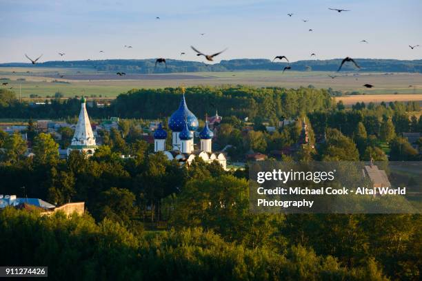 a murder of crows flys over the kremlin - suzdal stock pictures, royalty-free photos & images