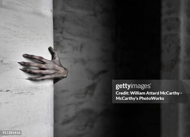 here i come - zombie hand stock pictures, royalty-free photos & images