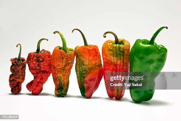 red&green peppers close up - pourrir photos et images de collection