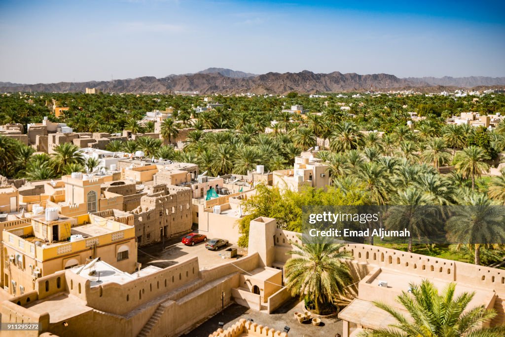 Palm trees surrounding Nizwa, Oman - February 28, 2016