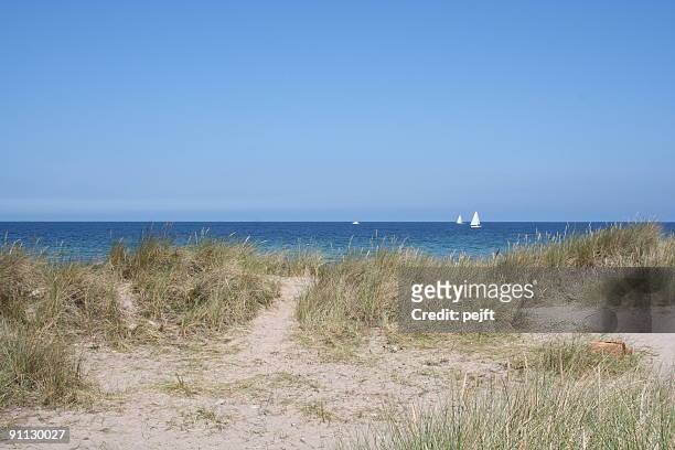 sand dunes and beach - kattegat stock pictures, royalty-free photos & images