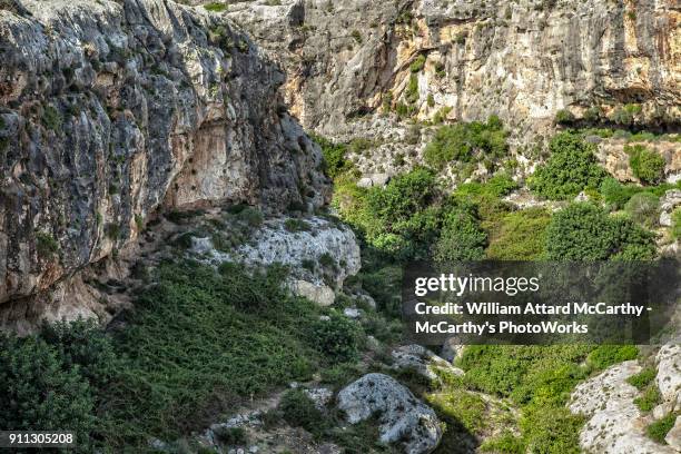 gozo valley - island of gozo mgarr stock pictures, royalty-free photos & images
