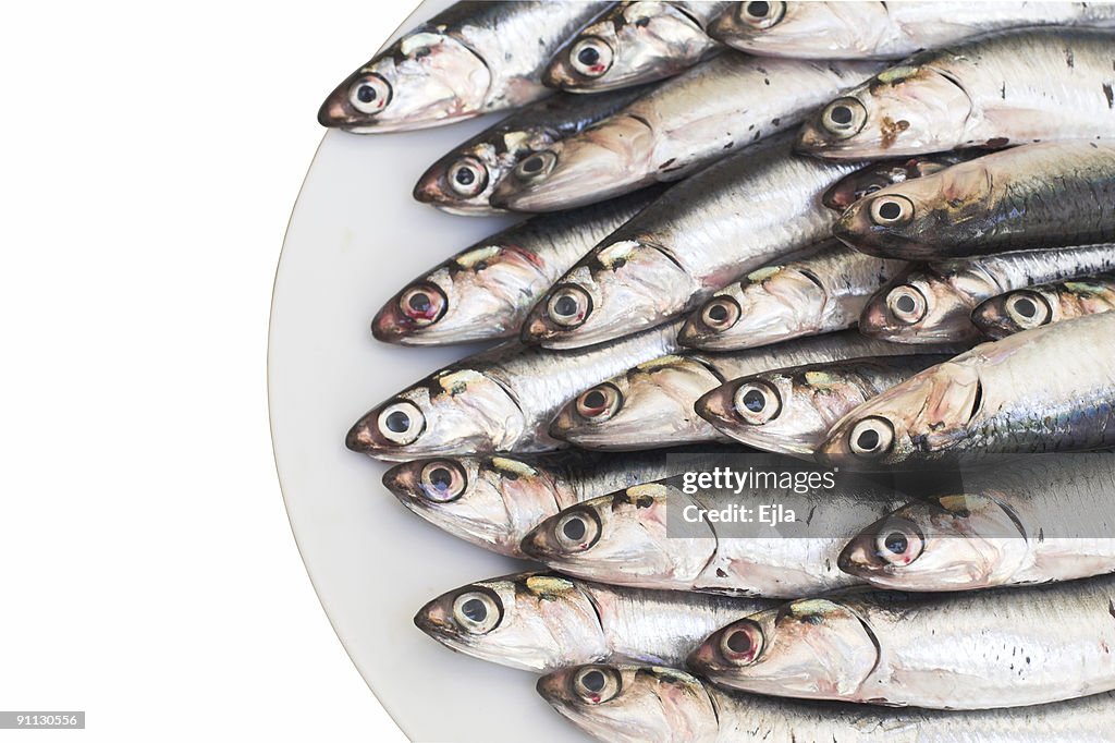 Blue fish (anchovies)