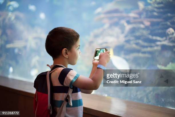 little boy taking a snapshot of the fish in an aquarium - digital exploration stock pictures, royalty-free photos & images