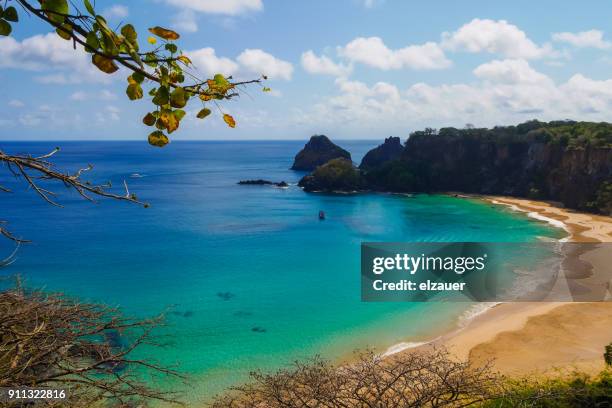 baia dos gofinhos - baía do sancho stock pictures, royalty-free photos & images