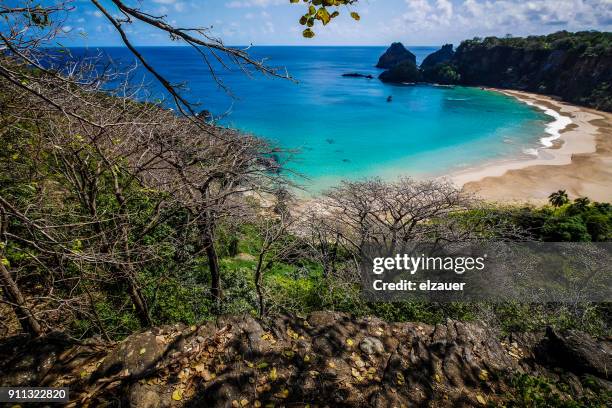 baia dos gofinhos - baía do sancho stock pictures, royalty-free photos & images