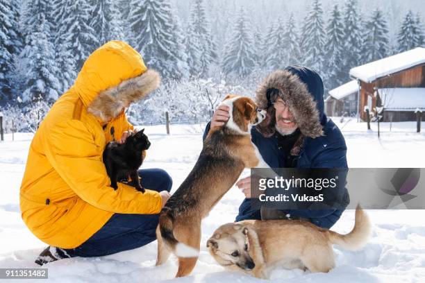 playing with pets on the snow - dog cat snow stock pictures, royalty-free photos & images