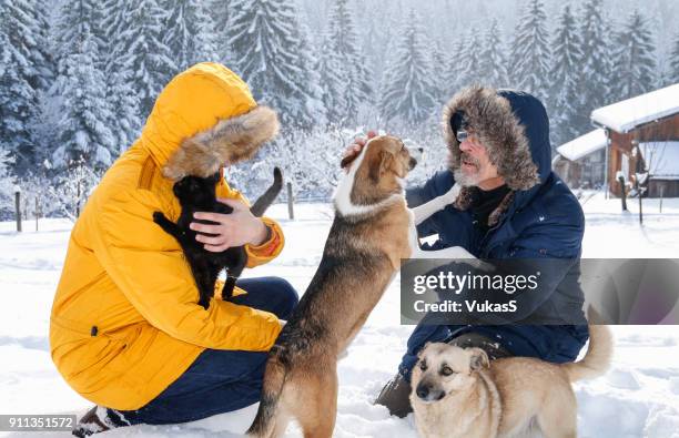 playing with pets on the snow - dog cat snow stock pictures, royalty-free photos & images