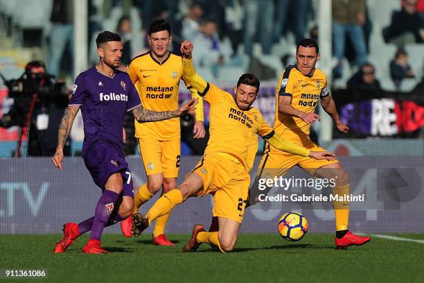 Cyril Thereau of ACF Fiorentina battles for the ball with Mattia Valoti of Hellas Verona FC during the serie A match between ACF Fiorentina and...