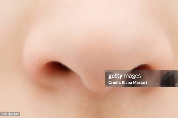 human nose - human nose stockfoto's en -beelden