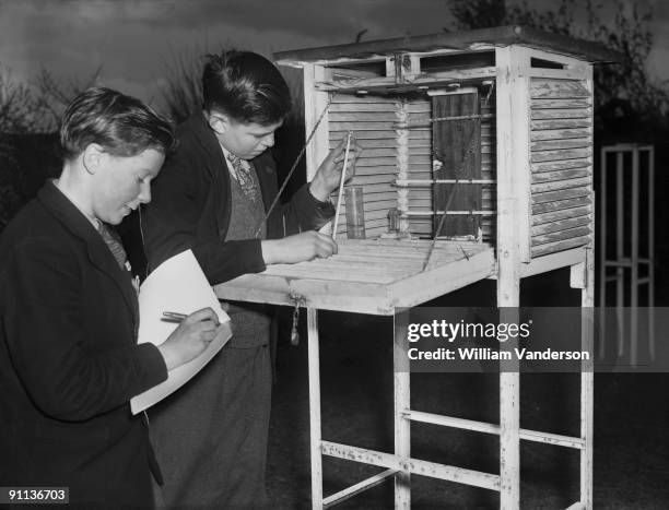 Boys studying meteorology at Wargrave Piggott Secondary Modern School in Wargrave, Berkshire, 22nd March 1951.