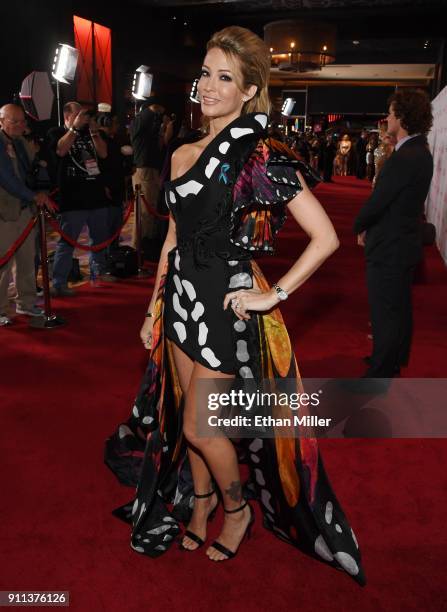 Adult film actress/director jessica drake attends the 2018 Adult Video News Awards at the Hard Rock Hotel & Casino on January 27, 2018 in Las Vegas,...