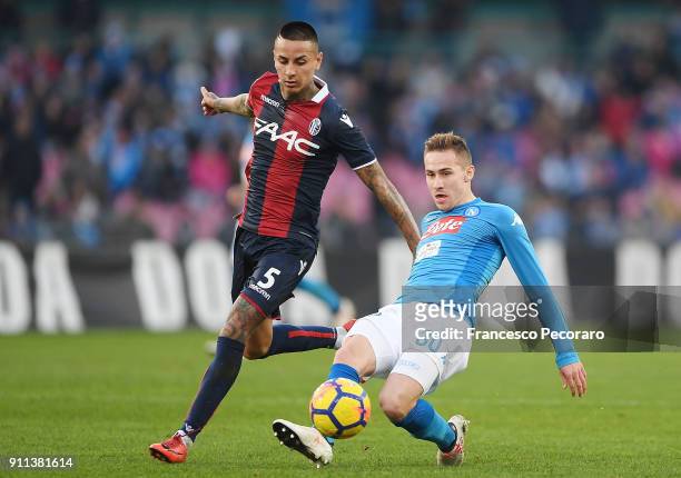 Player of SSC Napoli Marko Rog vies with Bologna FC player Erick Pulgar during the serie A match between SSC Napoli and Bologna FC at Stadio San...